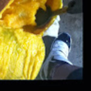 Meet your Posher, Janette